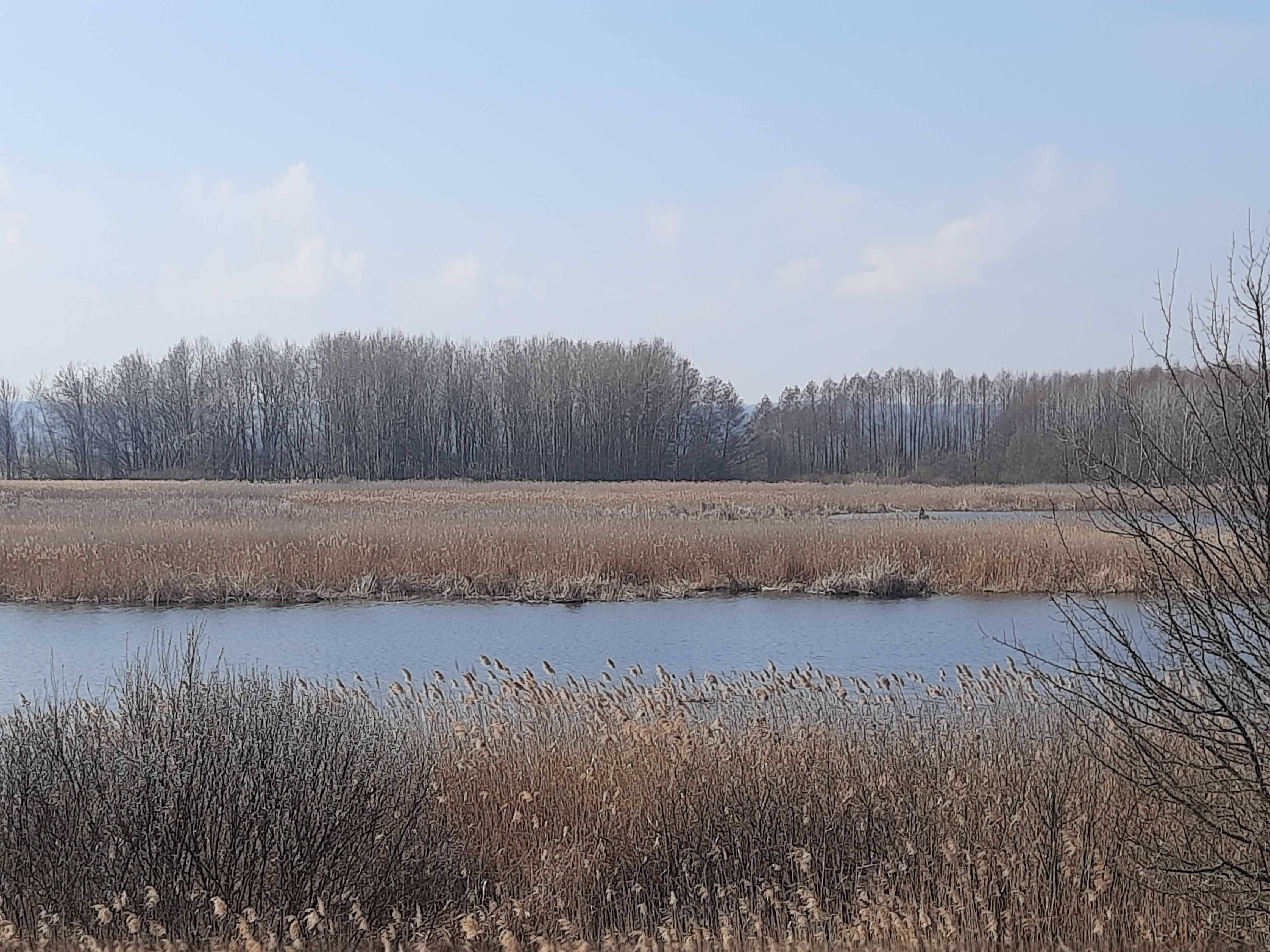 Земельна ділянка під ОСГ пл. 2,0 га с. Головурів Бориспільський р-н