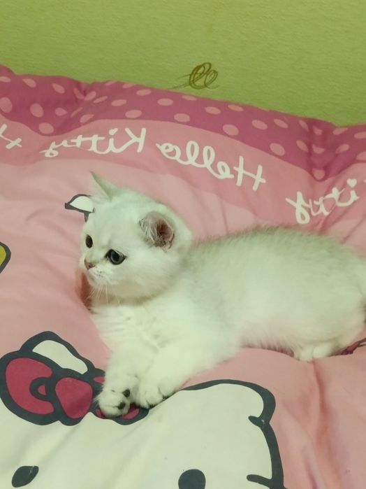 Чекаю тебе моя мамулічка