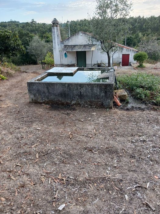 Vende-se Quinta em Percelada conselho de Tábua Beira Alta