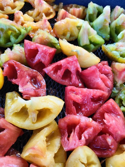 Набір насіння томатів колекційних