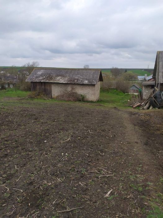 земельна ділятнка