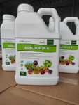 Agrolinija-S Nawóz doglebowy dolistny 100% naturalny 5L