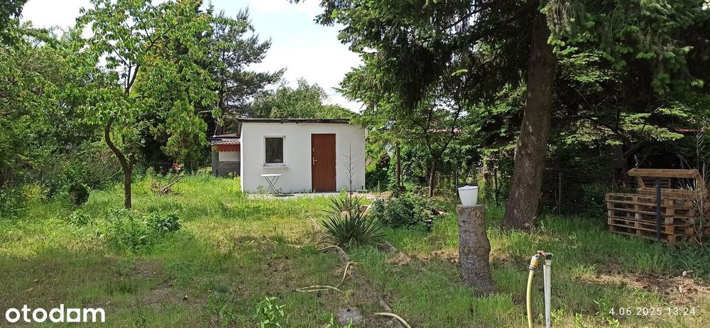 Urokliwa działka ROD "Zacisze", Poznań ul.Gorajska