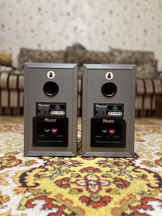 Полична акустика, колонки, magnat vector needle 11
