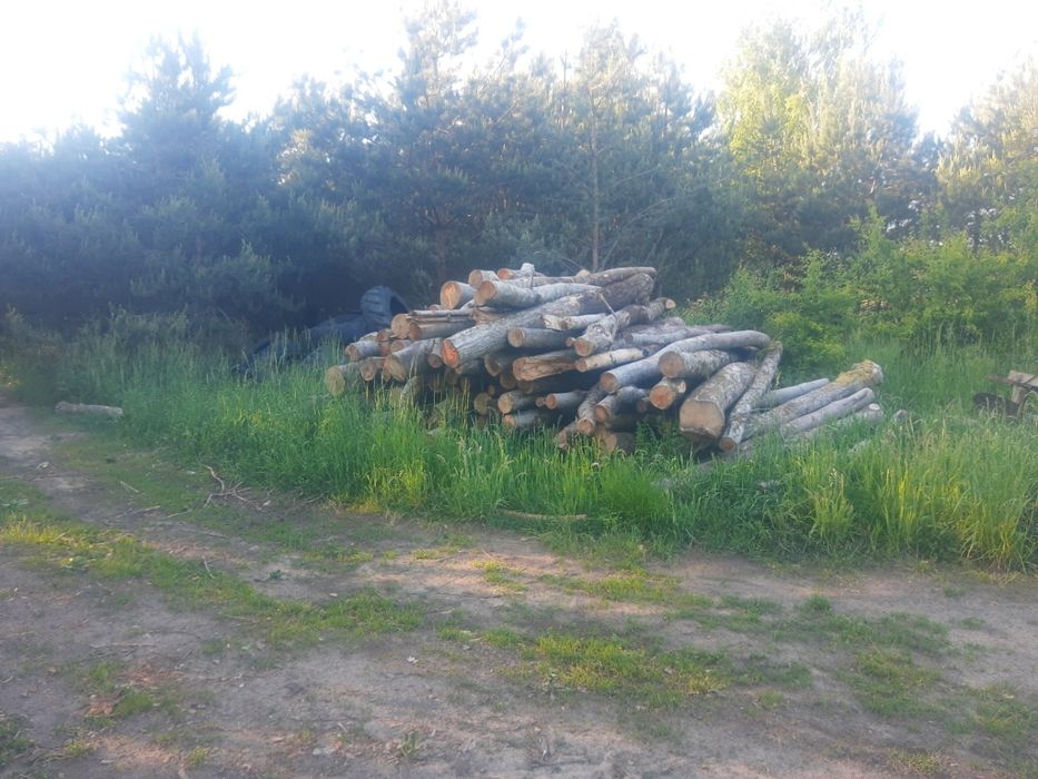 Drewno kominkowe i opałowe Buk dąb brzoza z Transportem