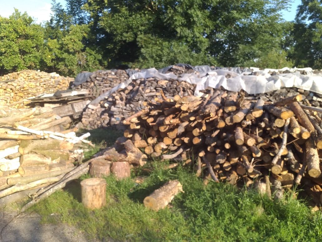 Drewno opałowe iglaste i liściaste