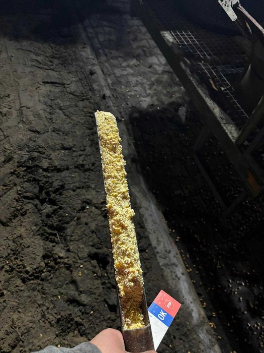 Śrutowanie gniecenie mielenie pakowanie zakiszanie w rękawy foliowe