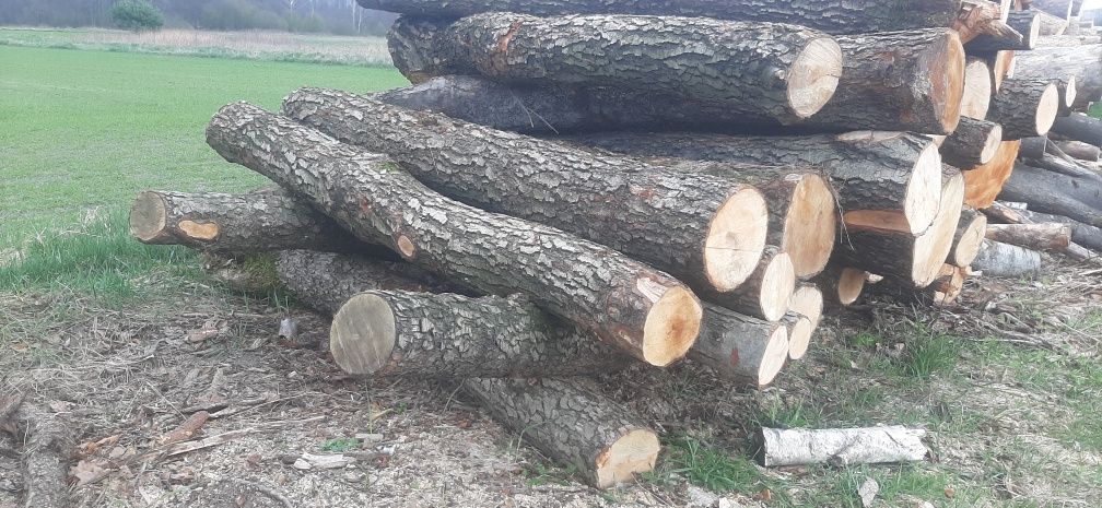 Olcha do wędzenia opał drewno drzewo dąb buk brzoza akacja świerk sosn