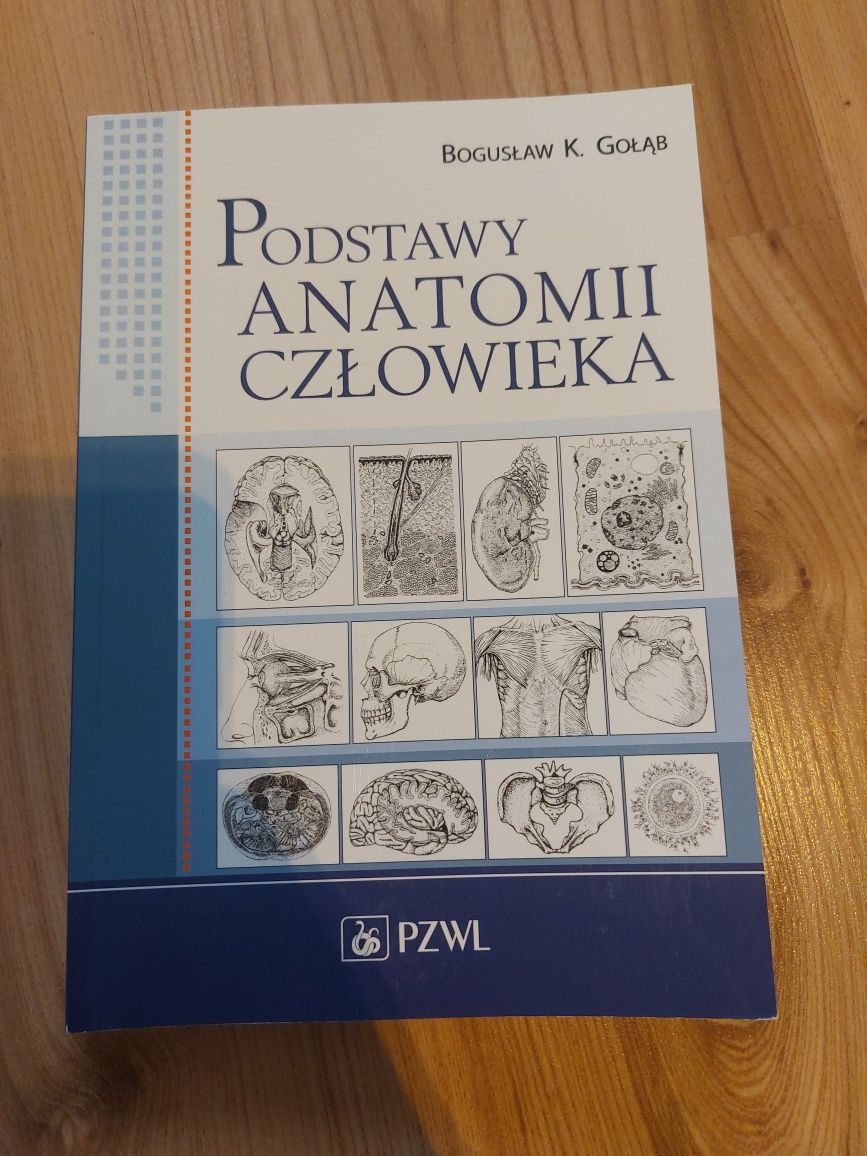 podstawy anatomii człowieka GOŁĄB