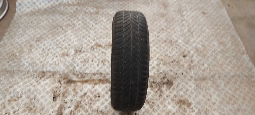 opona zimowa DĘBICA 175/65 R14 2014