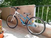 Bicicleta Bike Sport Team Pro 4210