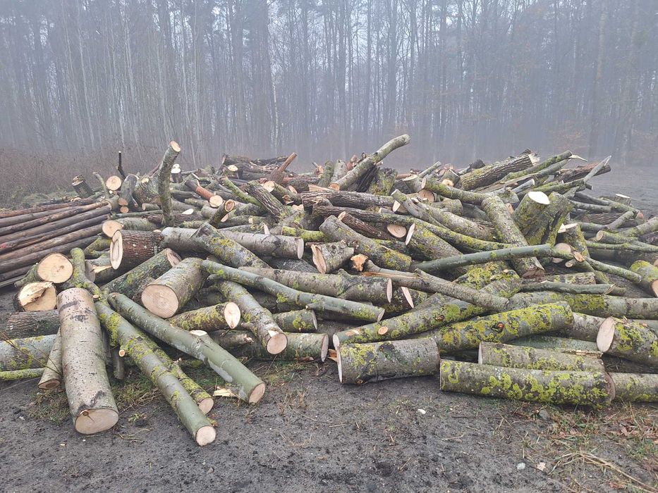 Drewno opałowe liściaste i iglaste w wałkach i klockach