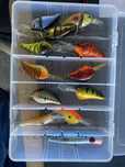 Amostras de Pesca para o Achegã