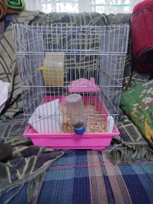 Продается клетка для грызунов.