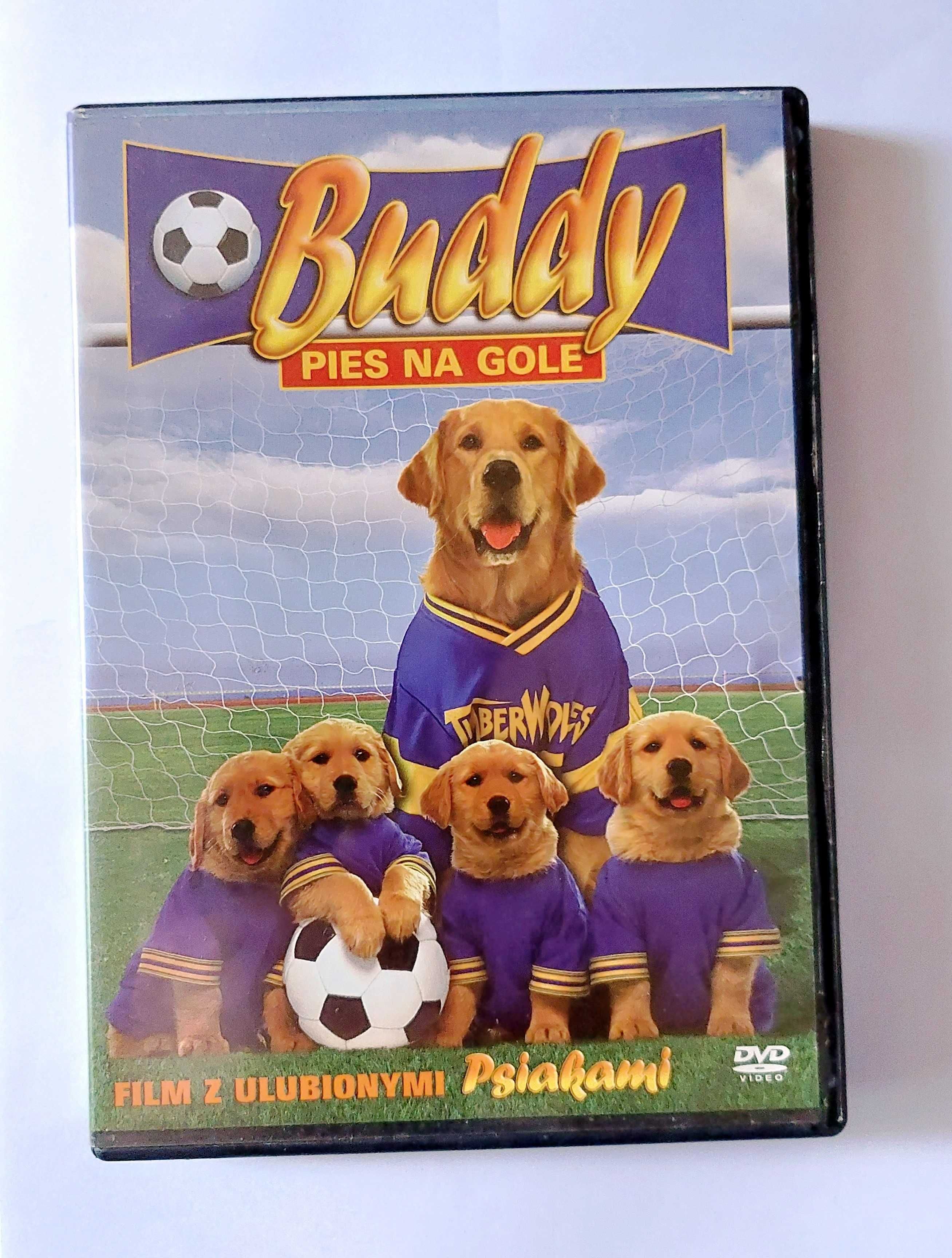 BUDDY: pies na gole | film z ulubionymi psiakami na DVD