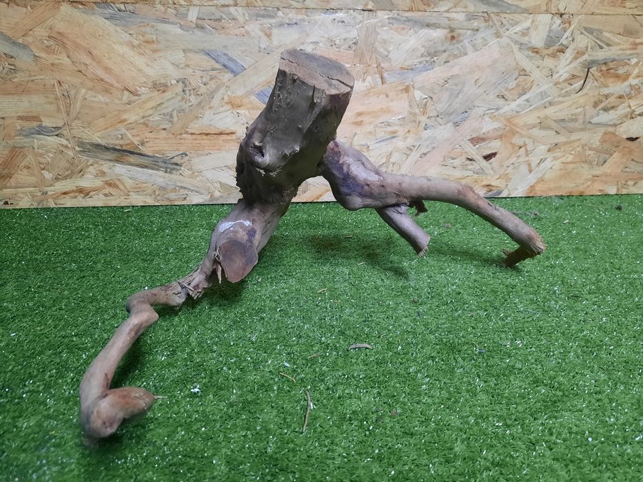 Korzeń do akwarium Red Moore Wood nr 875 o wymiarach 36/30/30