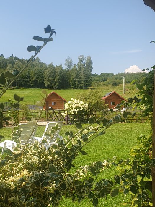 Siedlisko w Bieszczadach