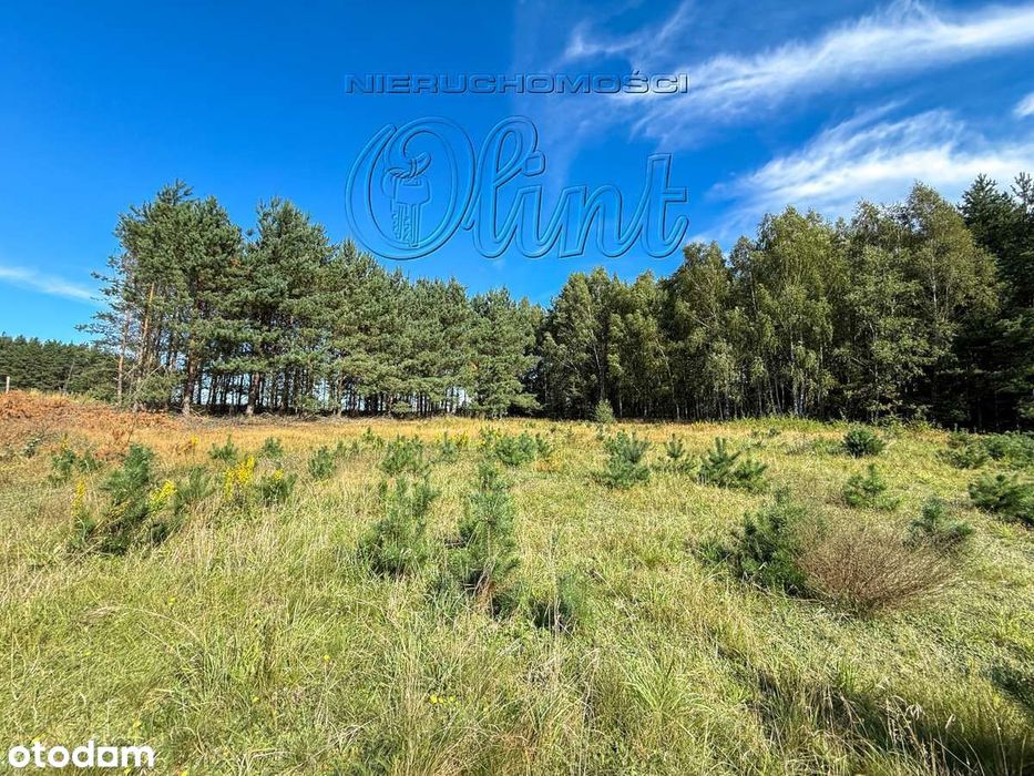 Lubowidz 4 działki nad jeziorem