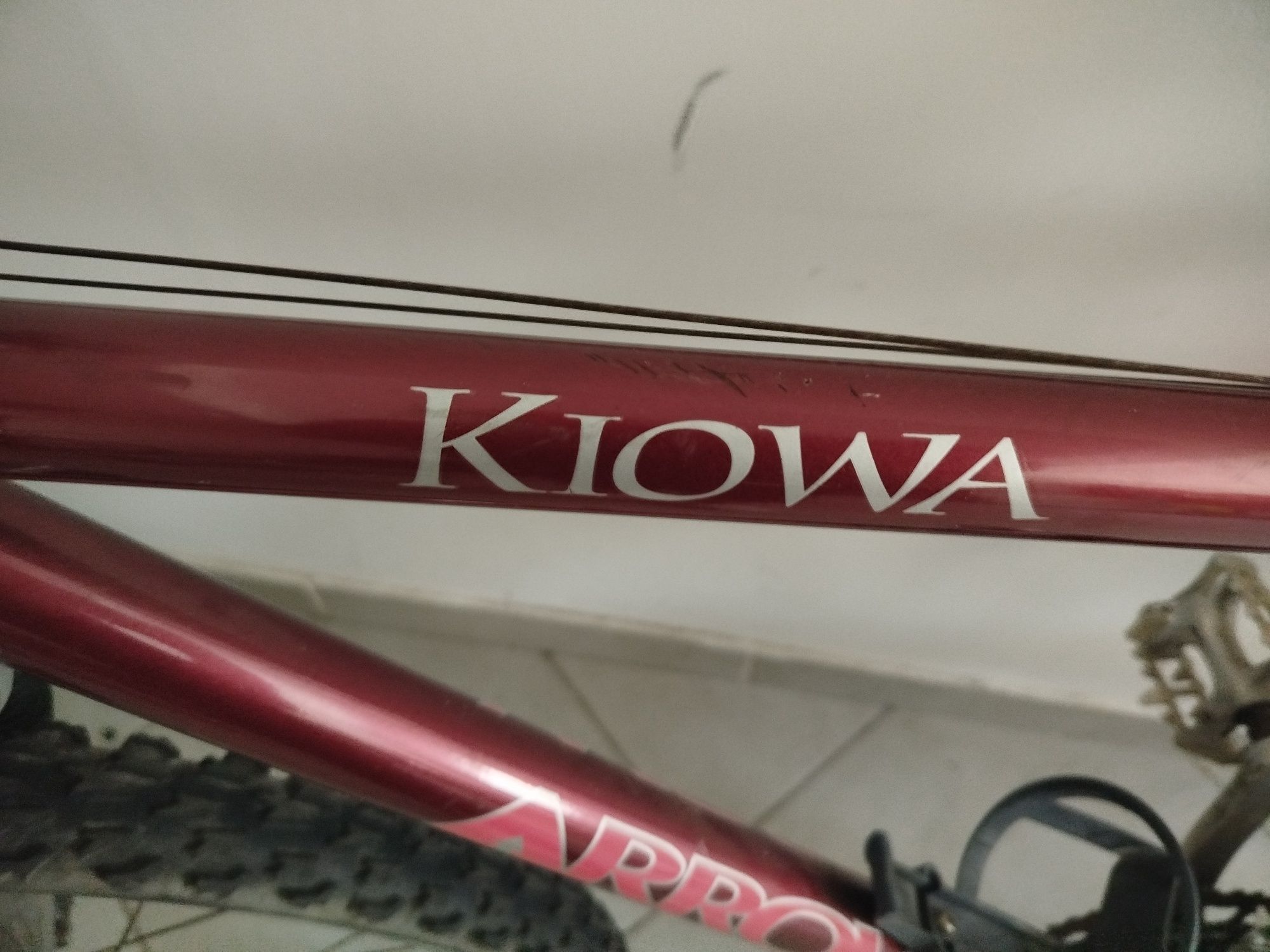 Bicicleta adulto