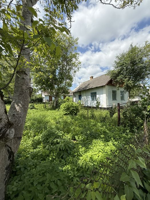 Продаж будинку с. Липа