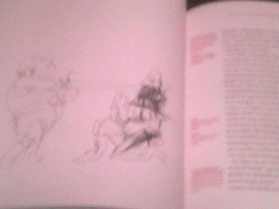 D. Quixote de La Mancha - Ilustrações de Júlio Pomar