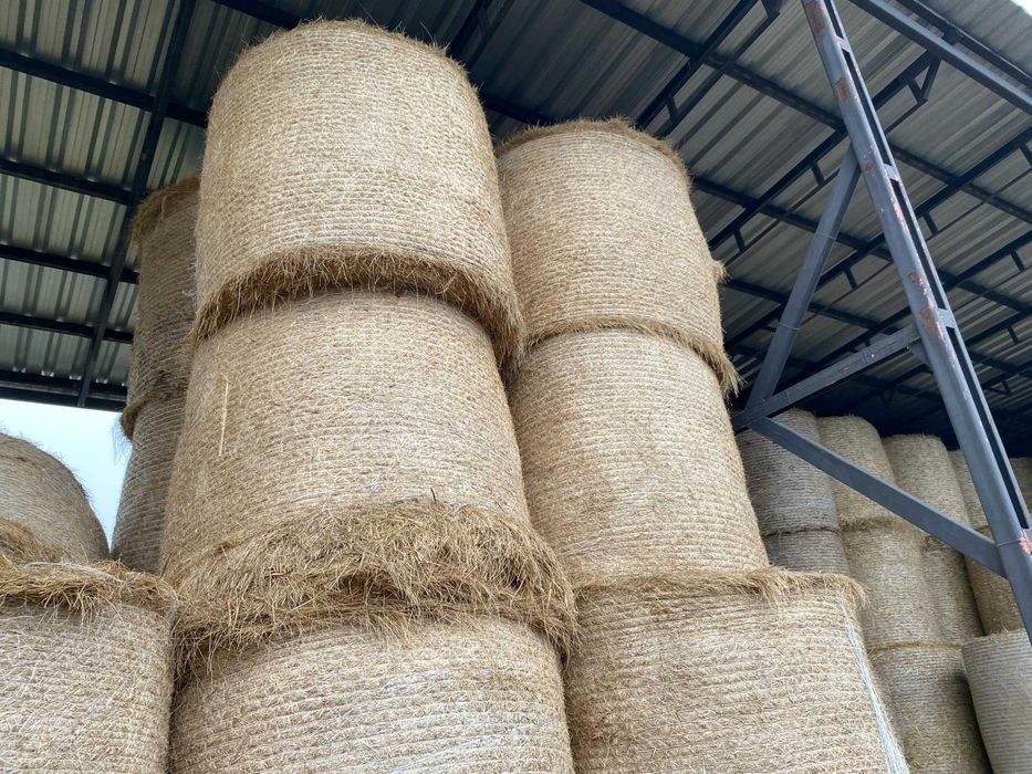 130zł   sianokiszonka    130-stki z traw sianych z załadunkiem