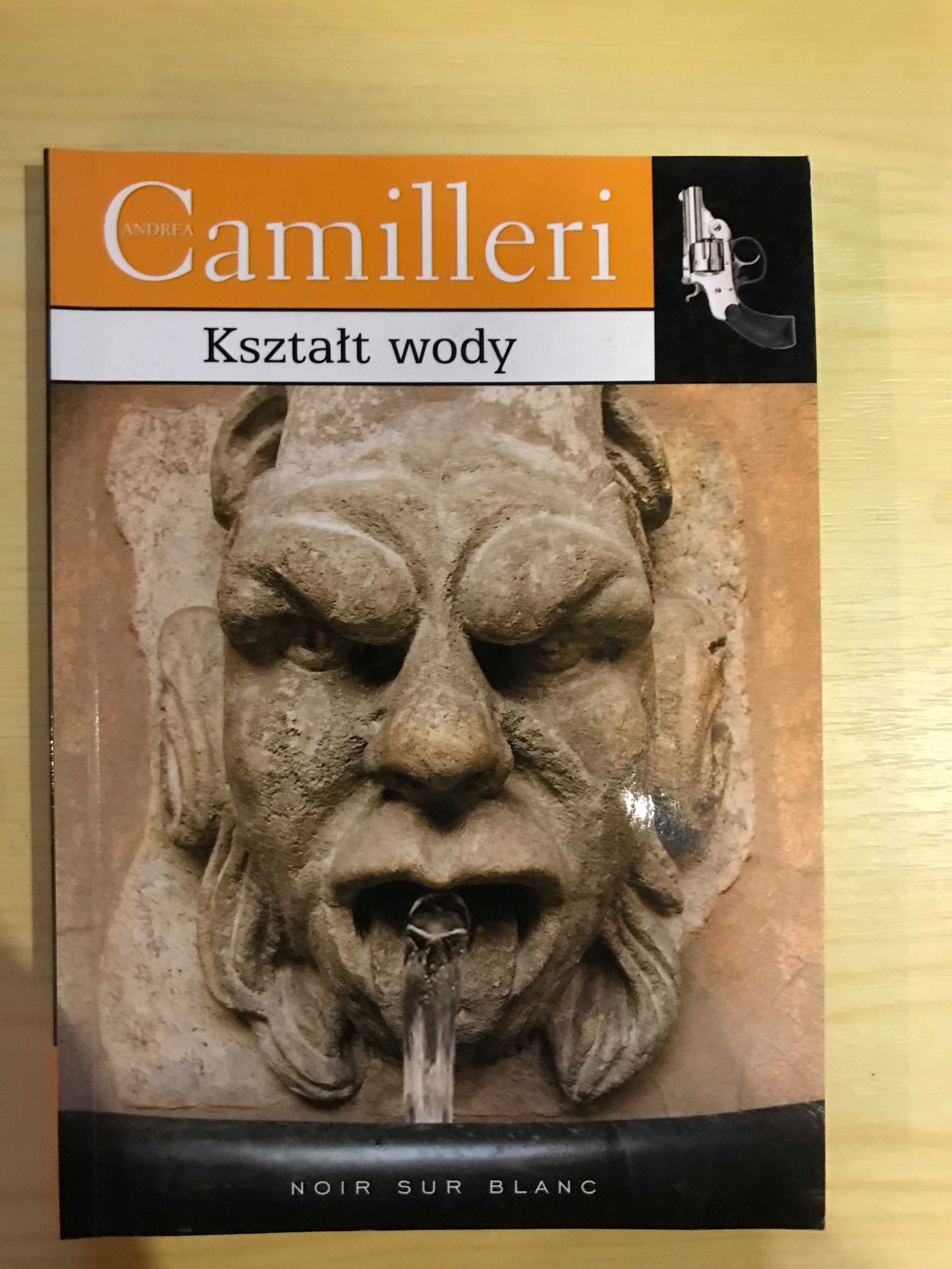 Kształt wody Andrea Camilleri