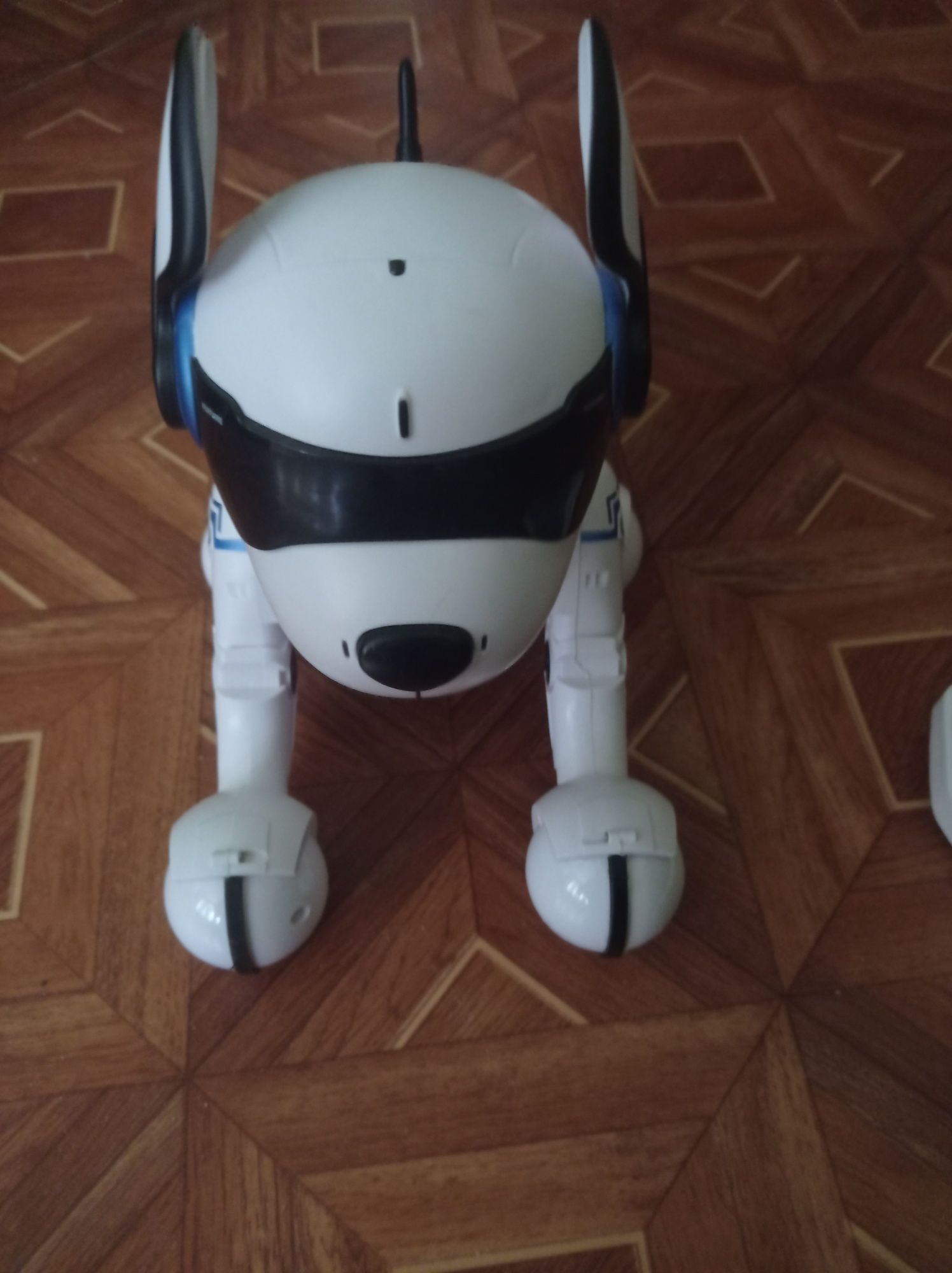 Крутой подарок малышу — робот собака на пульте управления