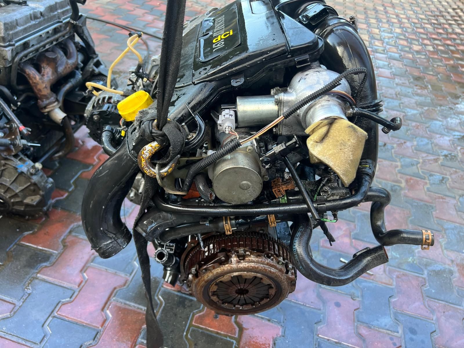Мотор двигун Двігатєль Рено 1.9dci Renault Сцені Канго