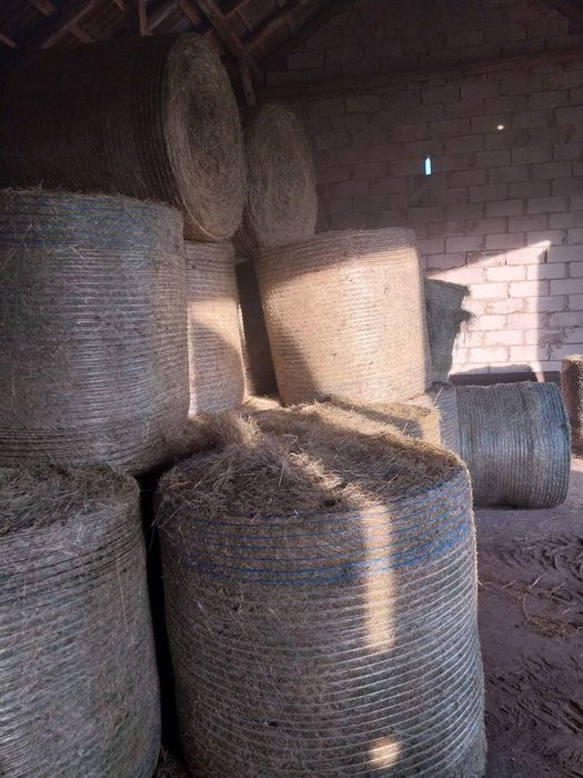 Sprzedam siano dobrej jakości