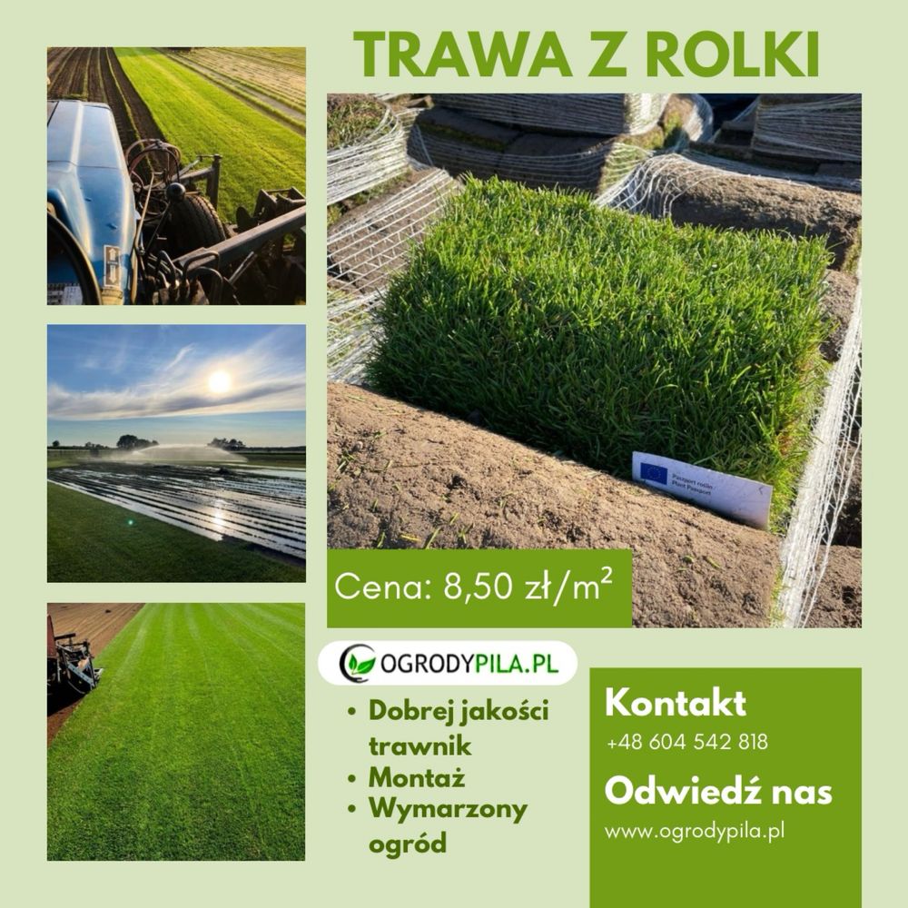 Trawa z rolki Premium