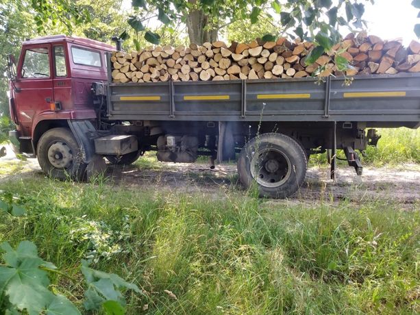 Drewno Drzewo opałowe opalowe Brzoza Olcha Sosna itp transport gratiss