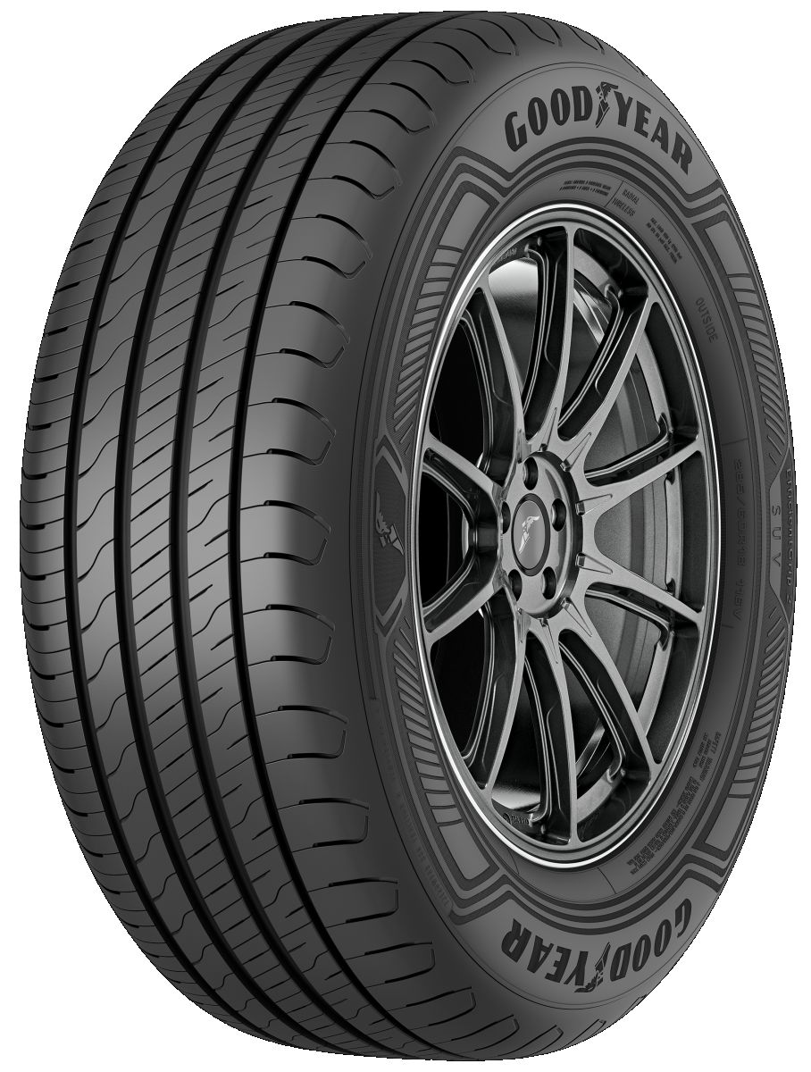 Goodyear EFFICIENTGRIP PERFORMANCE 2 205/60 R16 92H Radom-Wysyłka