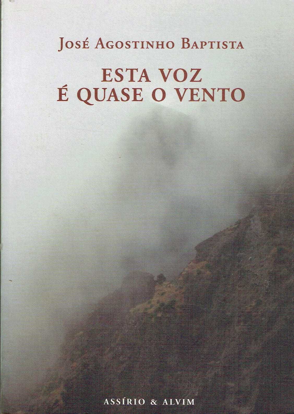 2183

Esta Voz é Quase o Vento
de José Agostinho Baptista