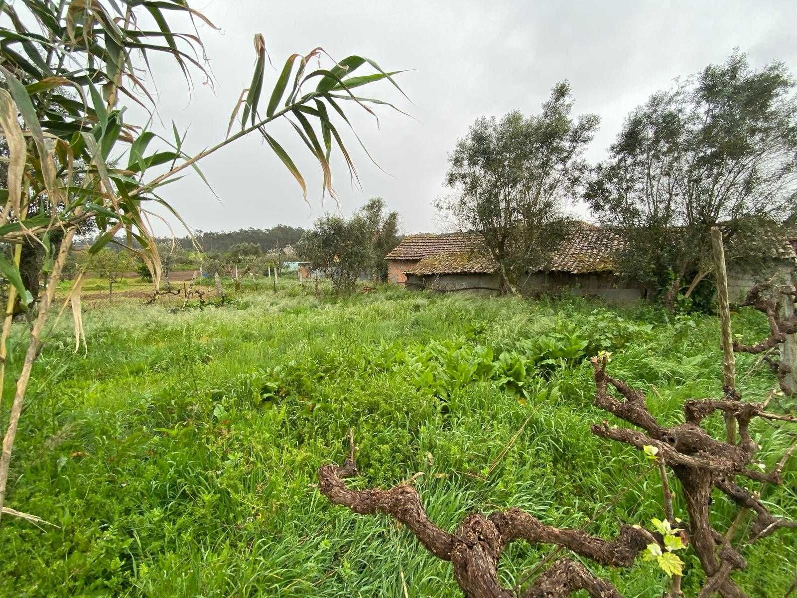 Casa de arrumos para reconstruir