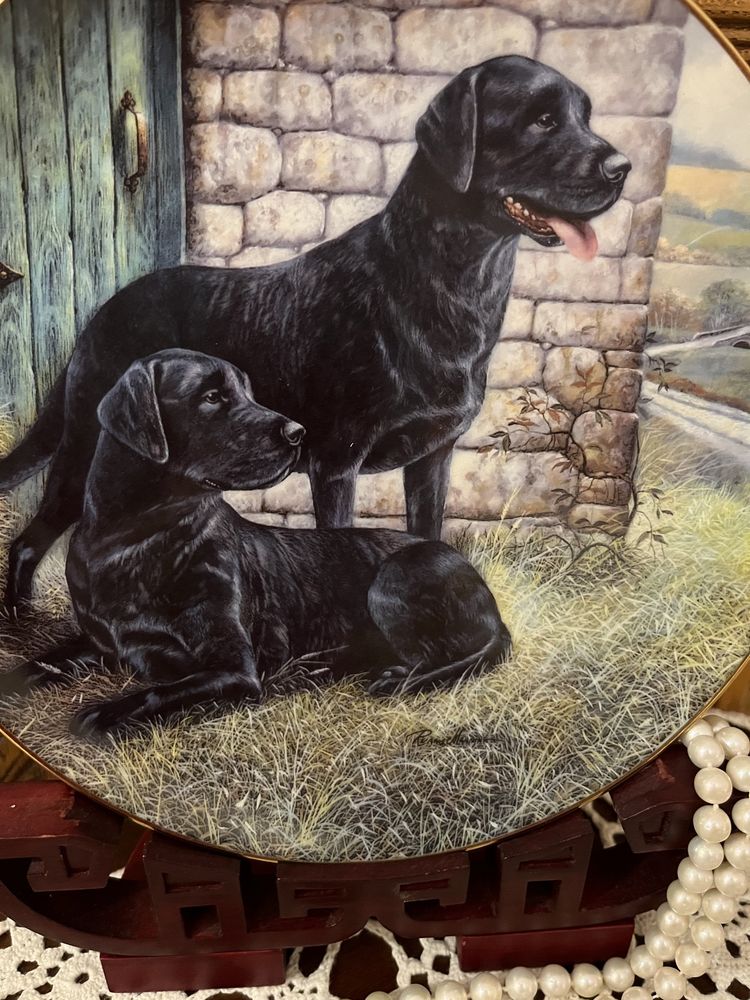 Elegancki Złocony Kolekcjonerski Talerz Porcelana Labrador Pies Obraz