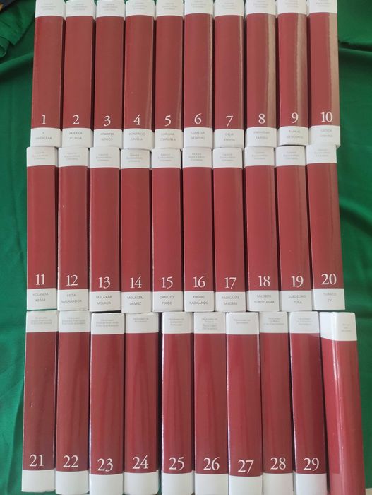 Grande Enciclopedia Universal 30 livros