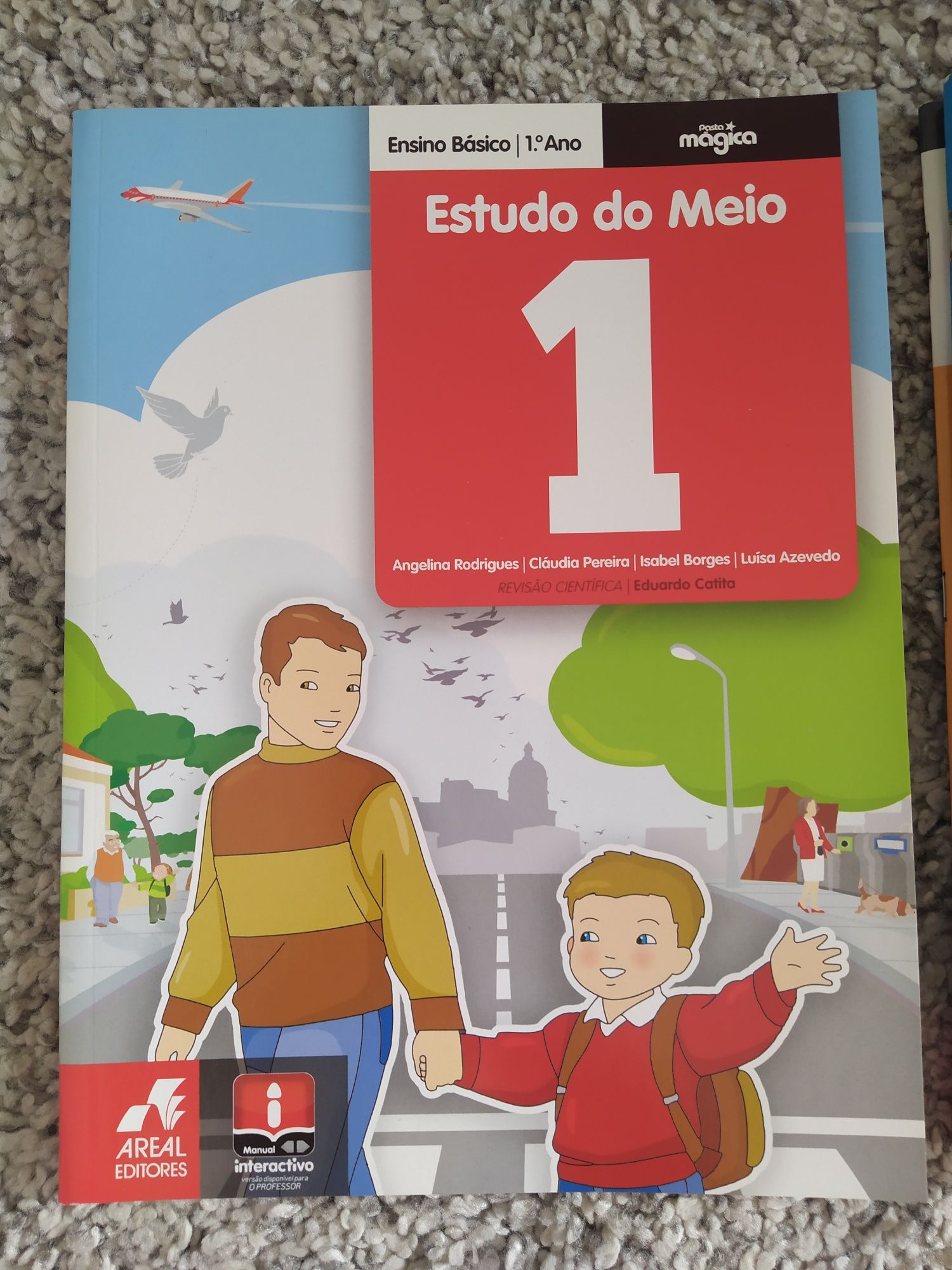 5 Livros de Fichas Novos 1 ano