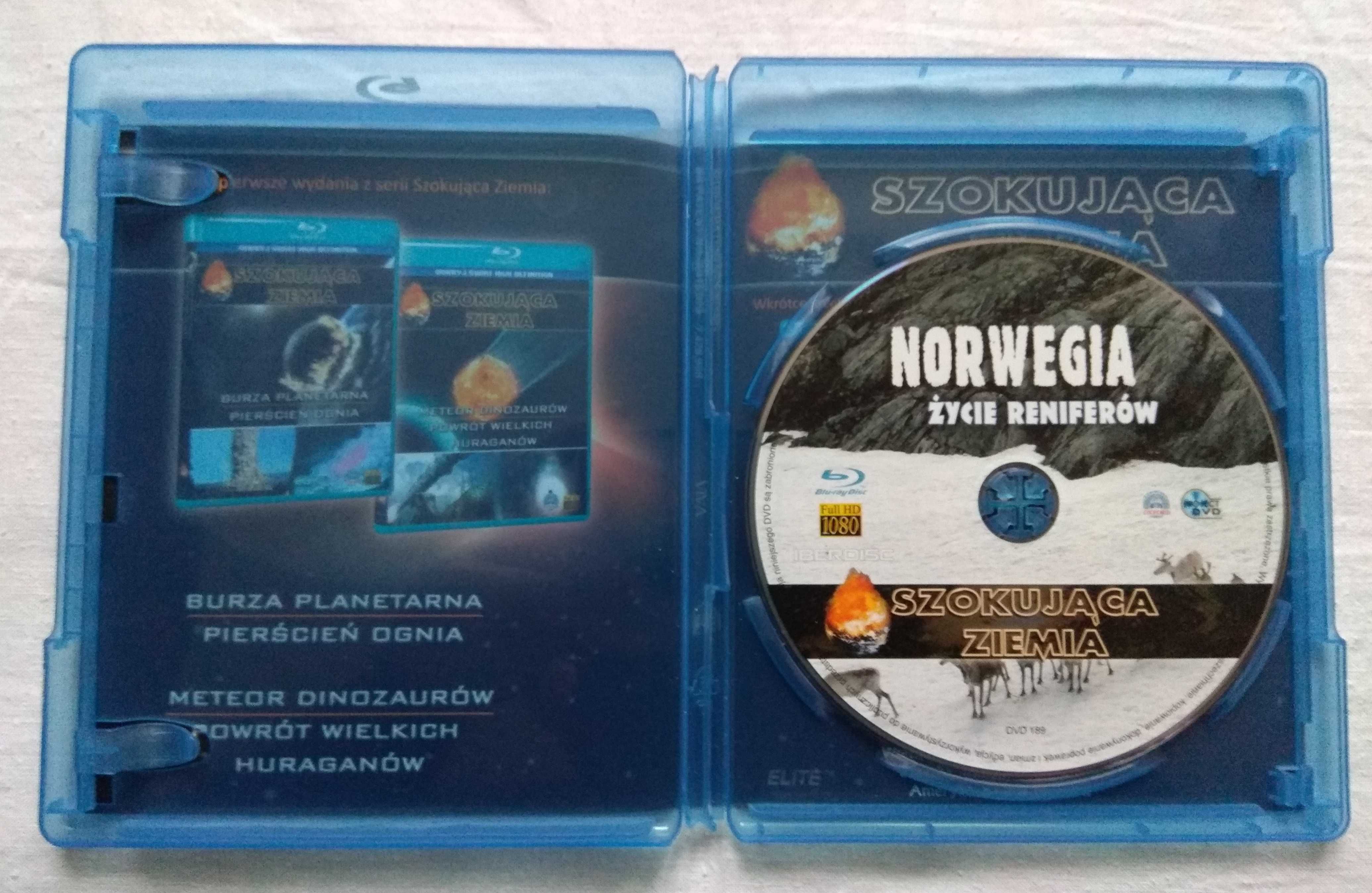 Film DVD / Bluray - Norwegia - Życie reniferów - (2008r.)