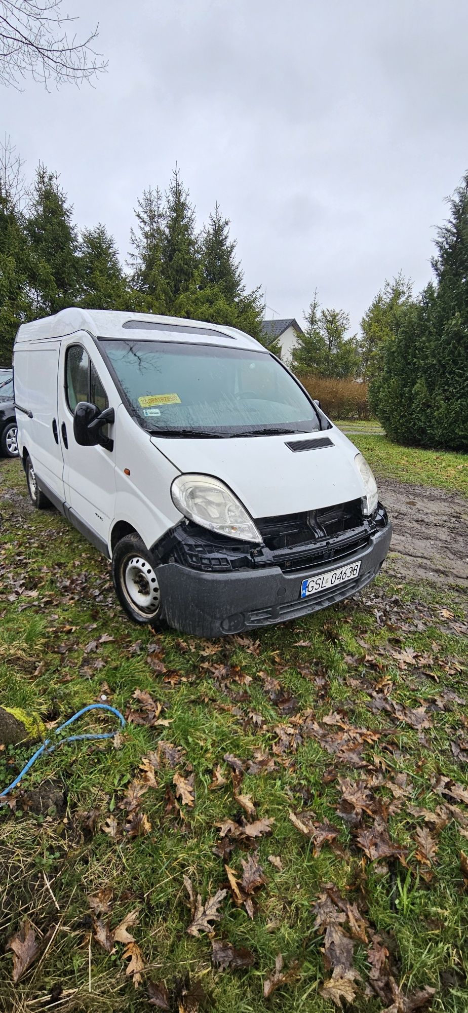 Renault trafic chłodnia