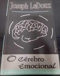 O cérebro emocional: as misteriosas estruturas da vida emocional