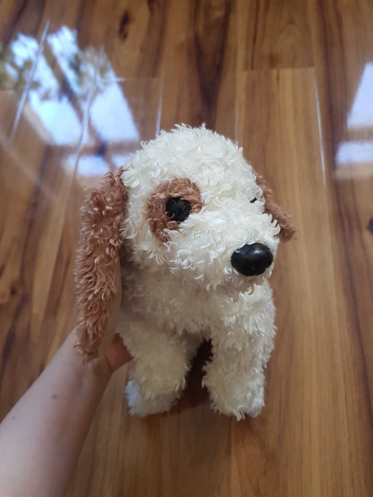 pies cocker spaniel Beasley duży Ty The Classics Collection 2002