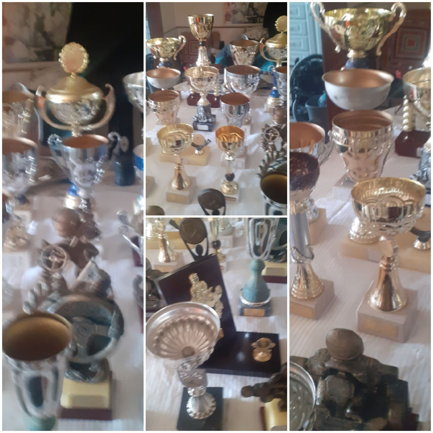 40 troféus de Karting