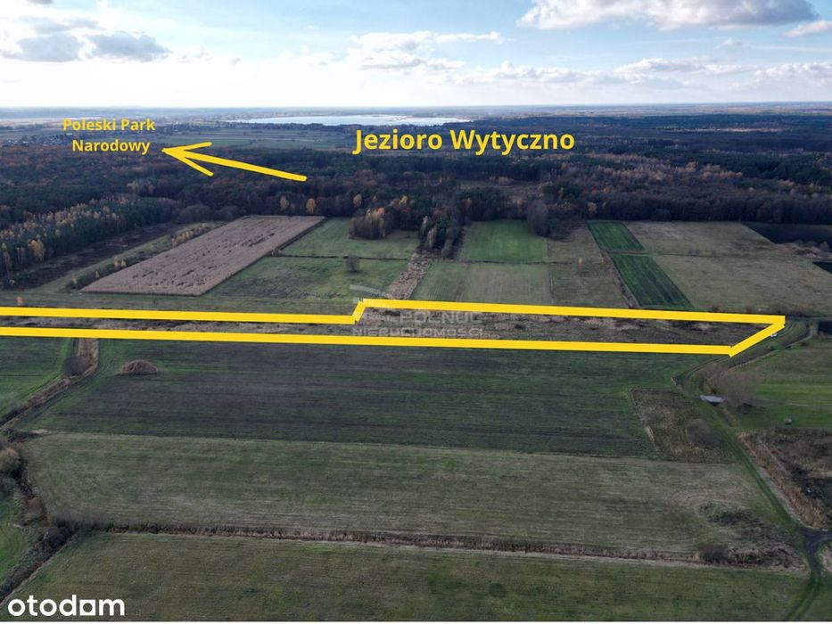 Działka rolna 2,47 ha Dominiczyn, gmina Stary Brus