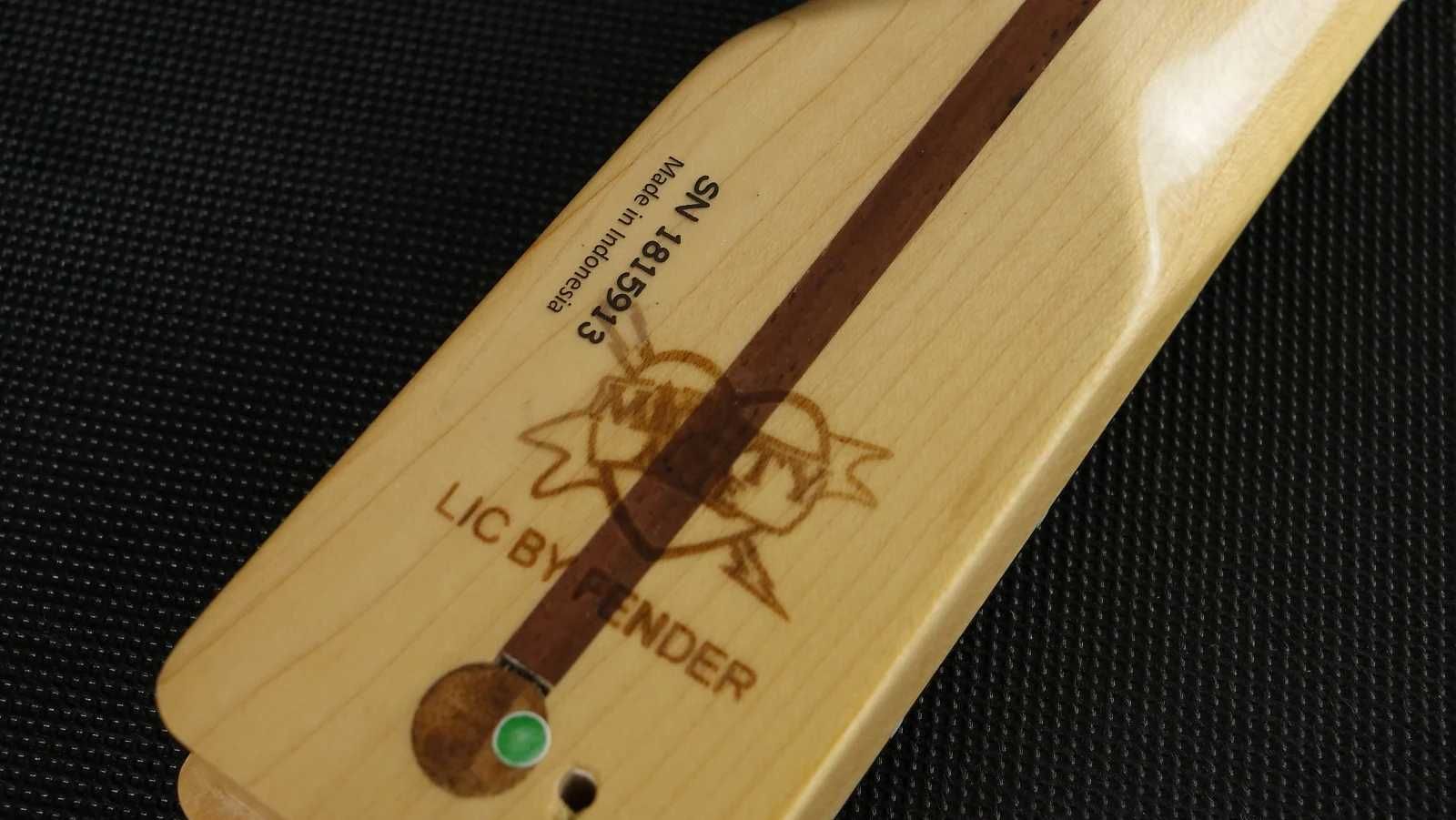 Jim Root Telecaster Custom Polska Gitara Lutnicza 13YQ Guitars