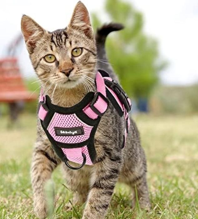 Szelki dla kota/ małego psa, różowe, regulowane, rozmiar XS