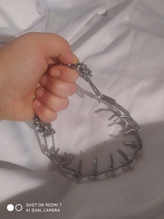 Строгий ошейник или парфорс для дрессировки собак на большую собаку