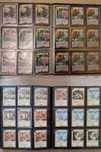 Oryginalne Karty Duel Masters - Single 1/2 Kolekcji Szukaj Po Nazwach