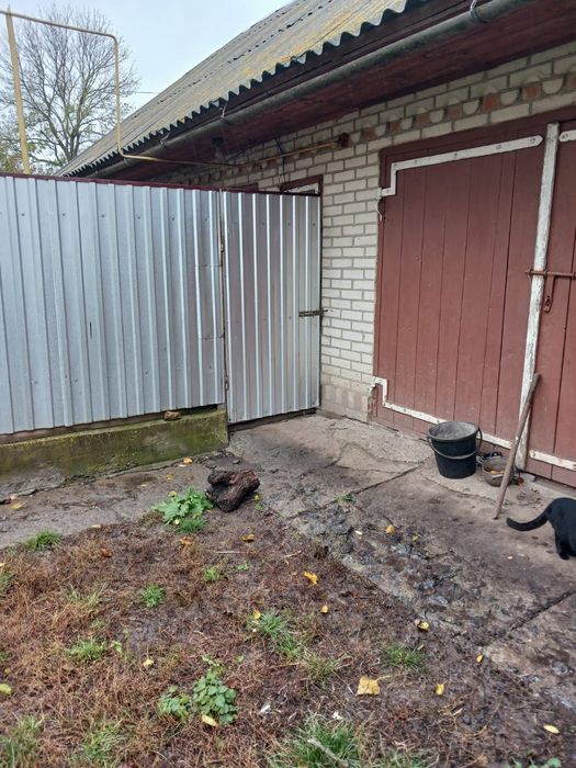 Продам будинок в Самгородке, 4 кімнати