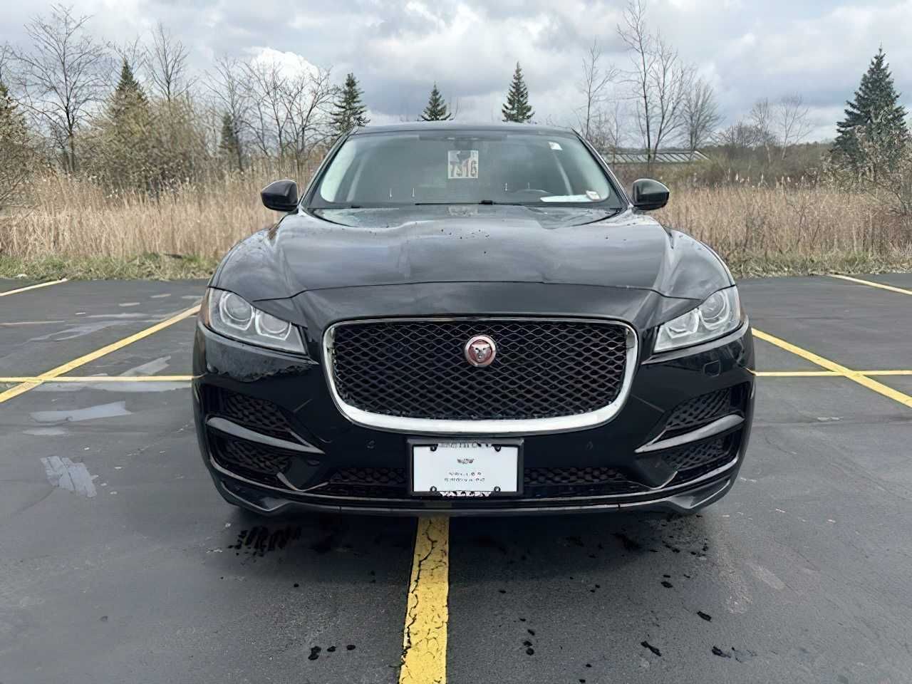 Jaguar F-Pase 2019